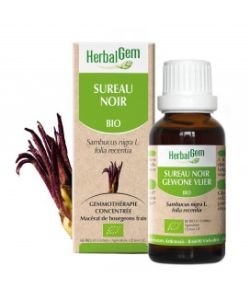 Sureau noir (Sambucus Nigra) bourgeon BIO, 15 ml